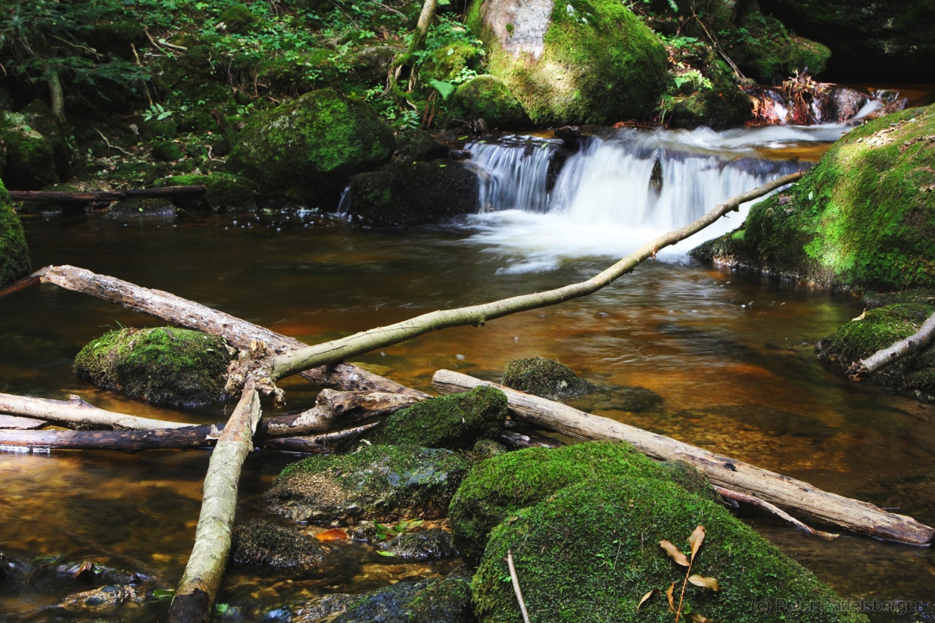 Ysperklamm