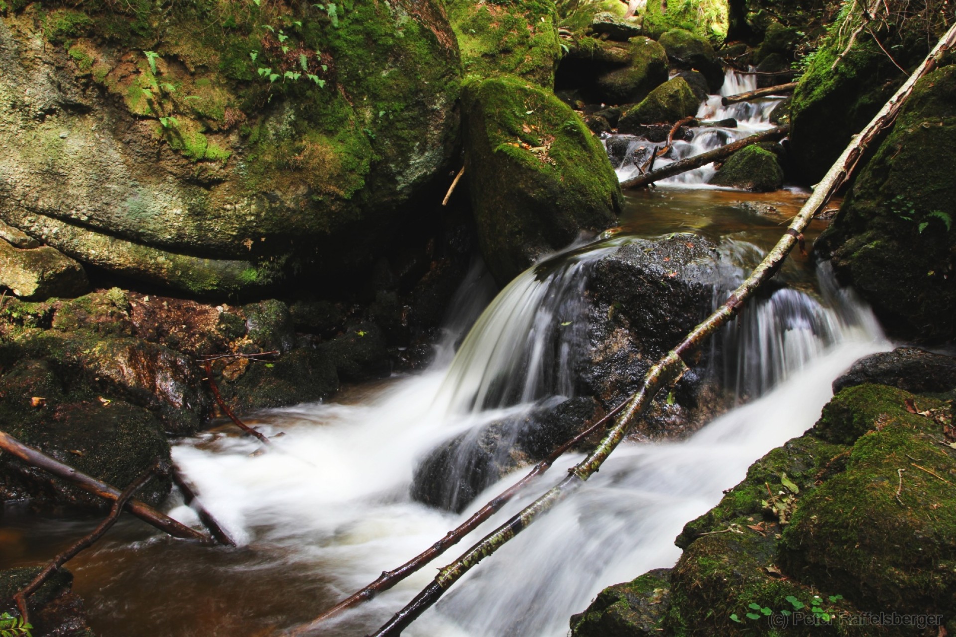 Ysperklamm
