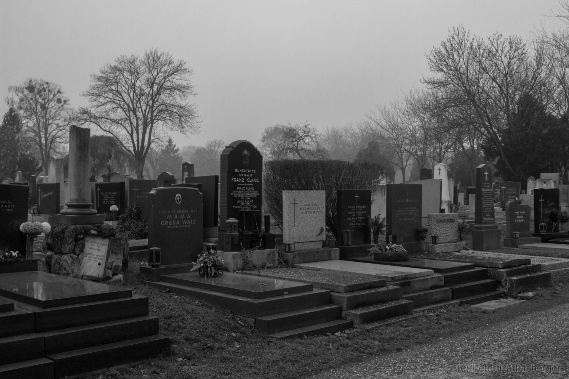 Vienna Central Graveyard