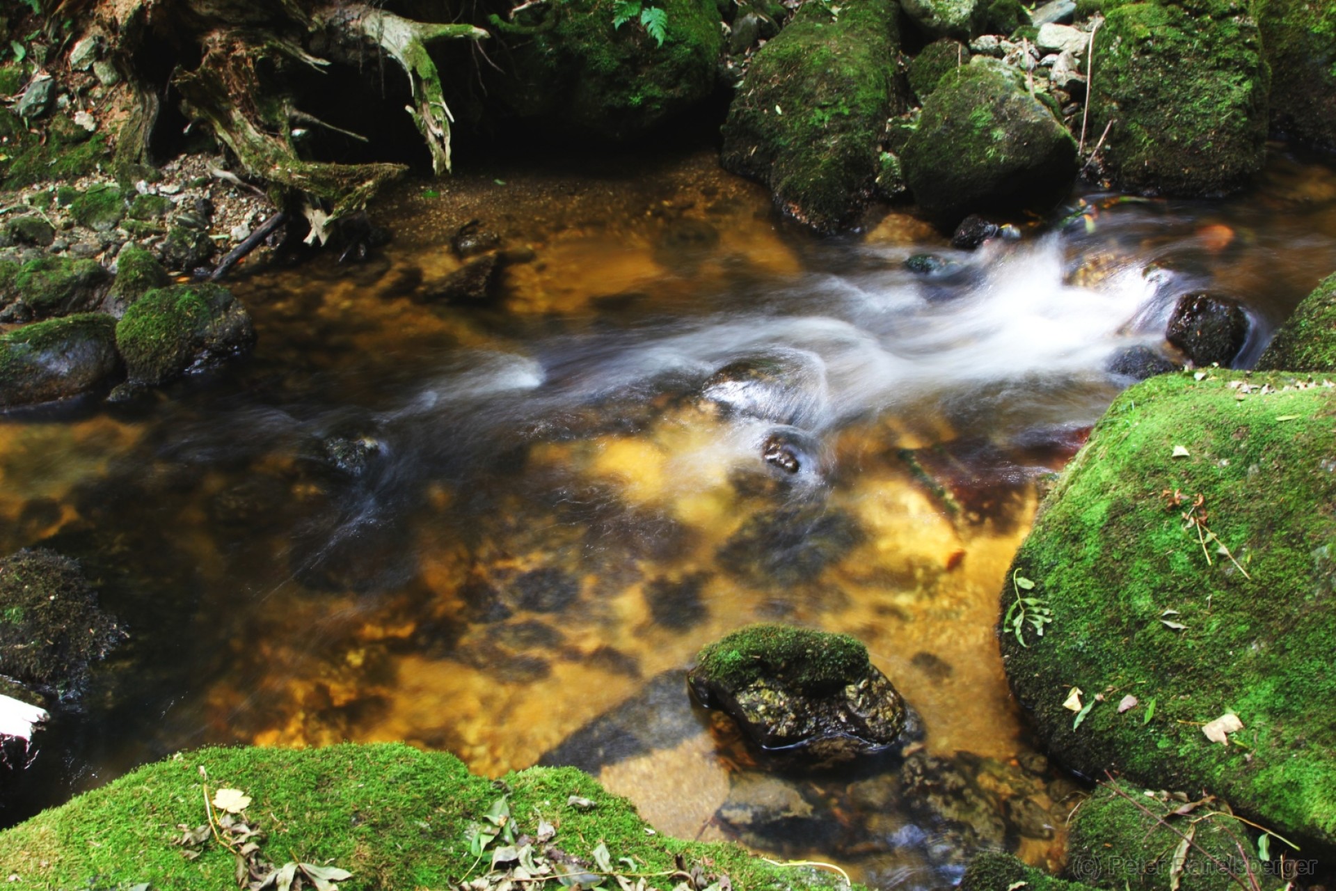 Ysperklamm