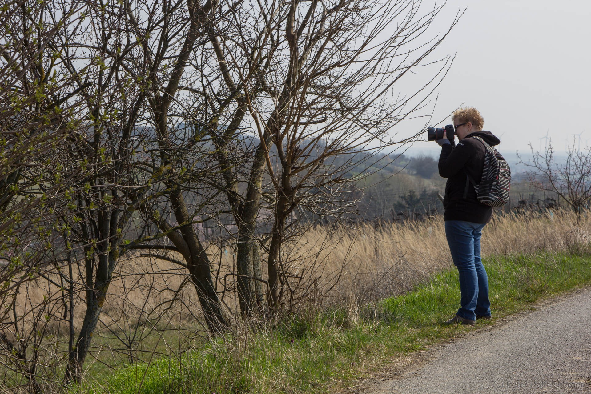 Spring in Enzersfeld