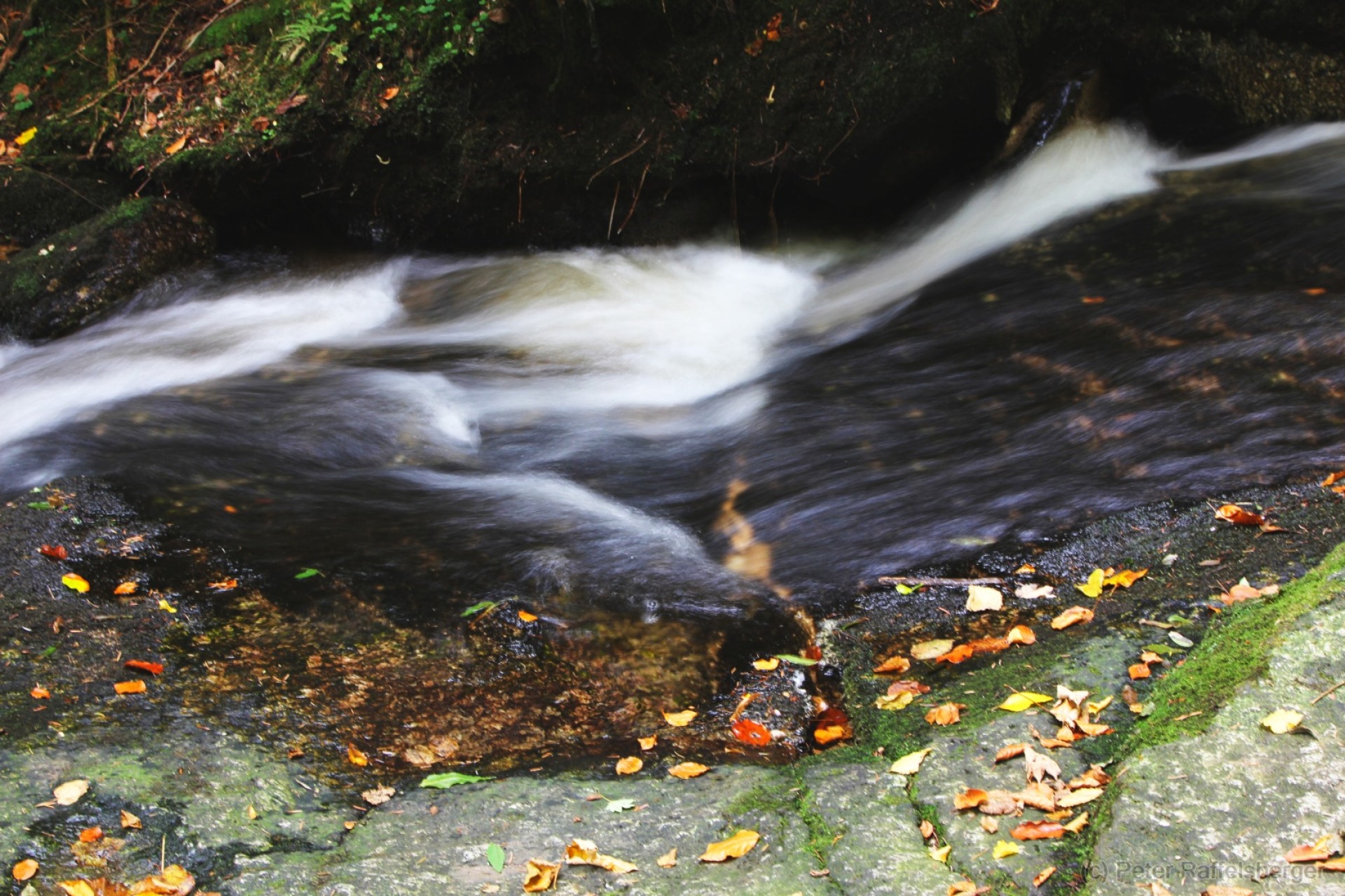 Ysperklamm