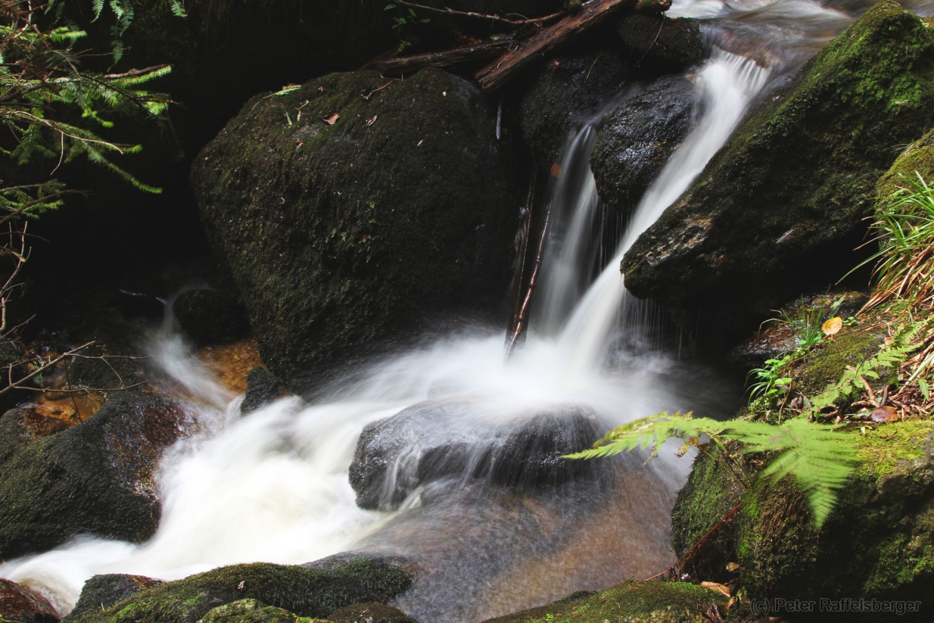 Ysperklamm
