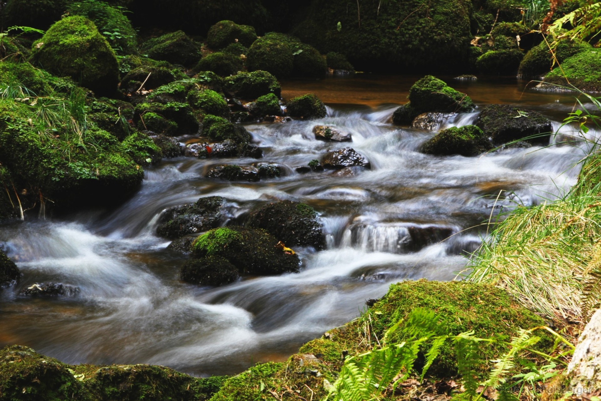 Ysperklamm