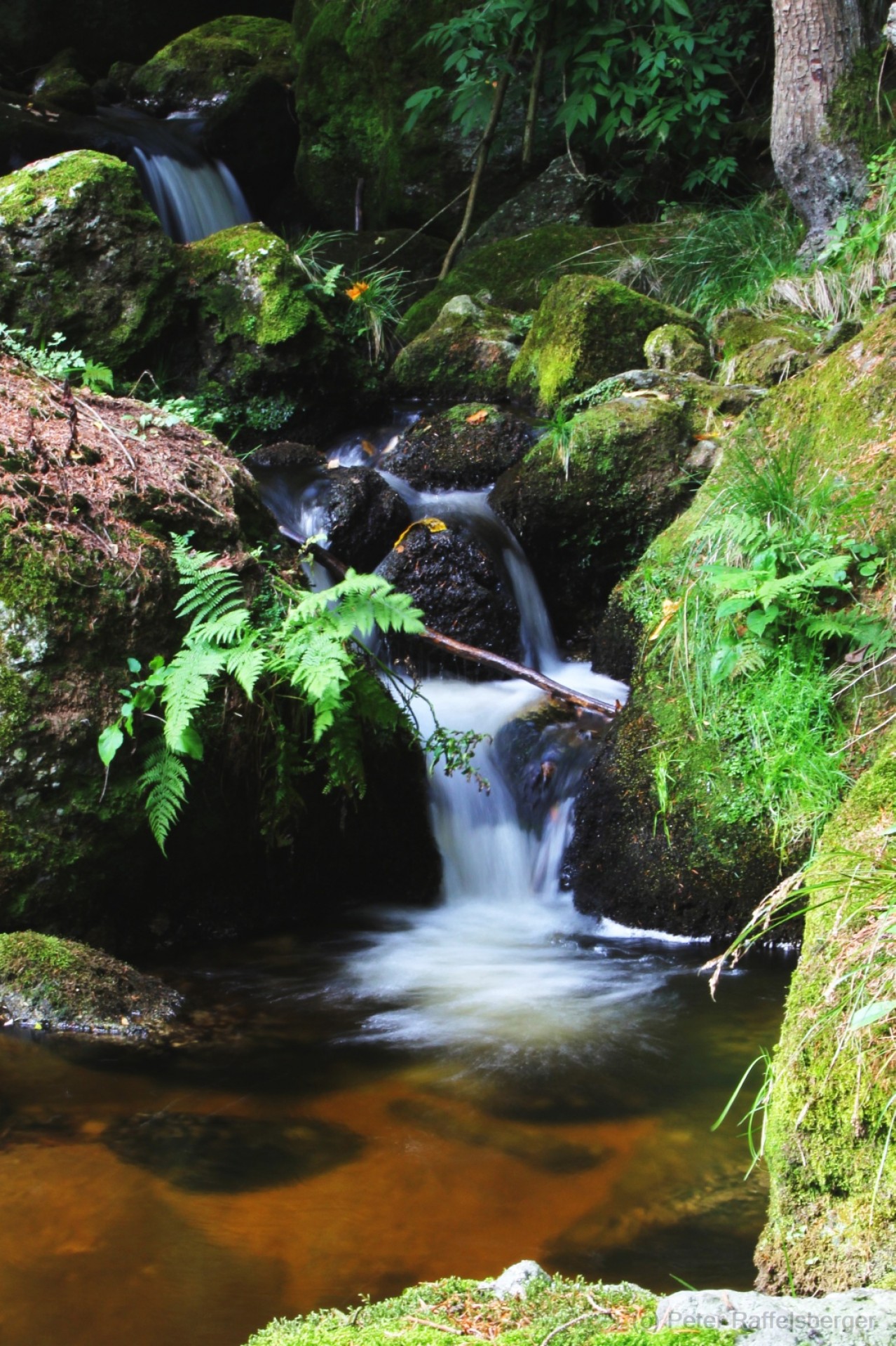Ysperklamm