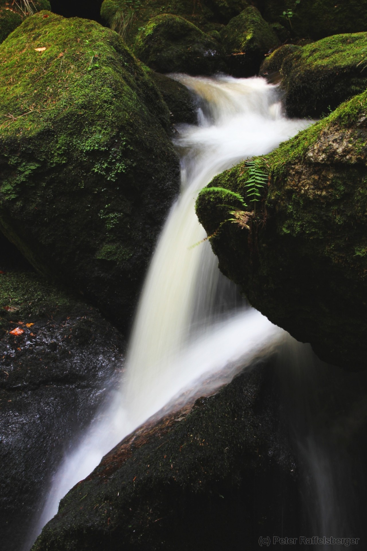 Ysperklamm
