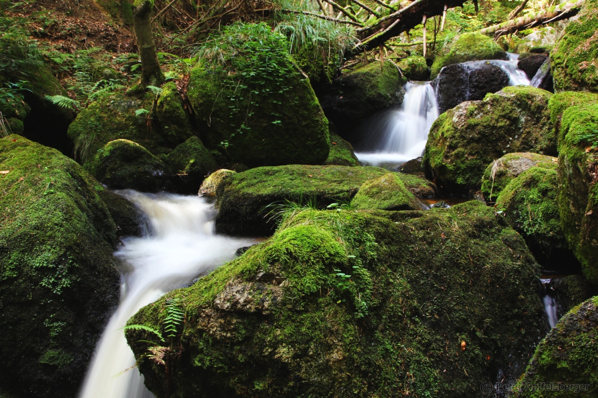Ysperklamm