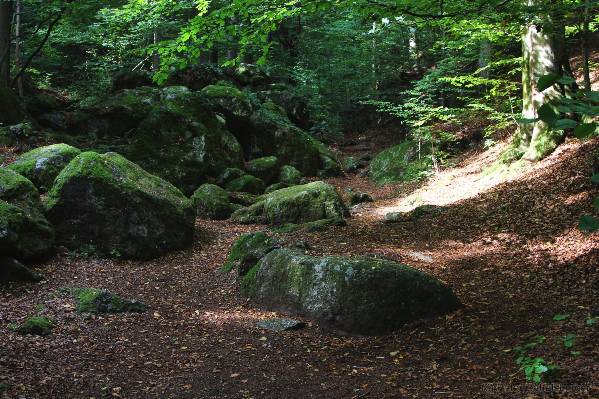 Ysperklamm