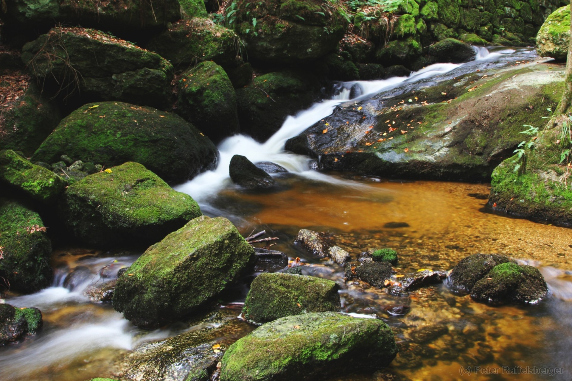 Ysperklamm