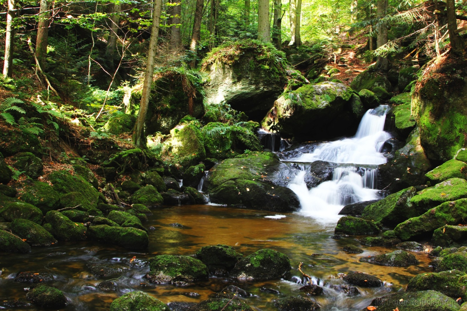Ysperklamm