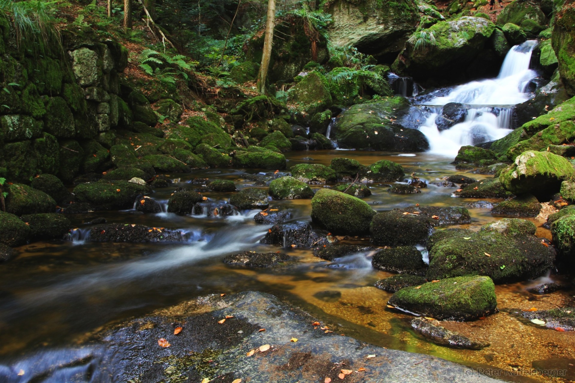 Ysperklamm