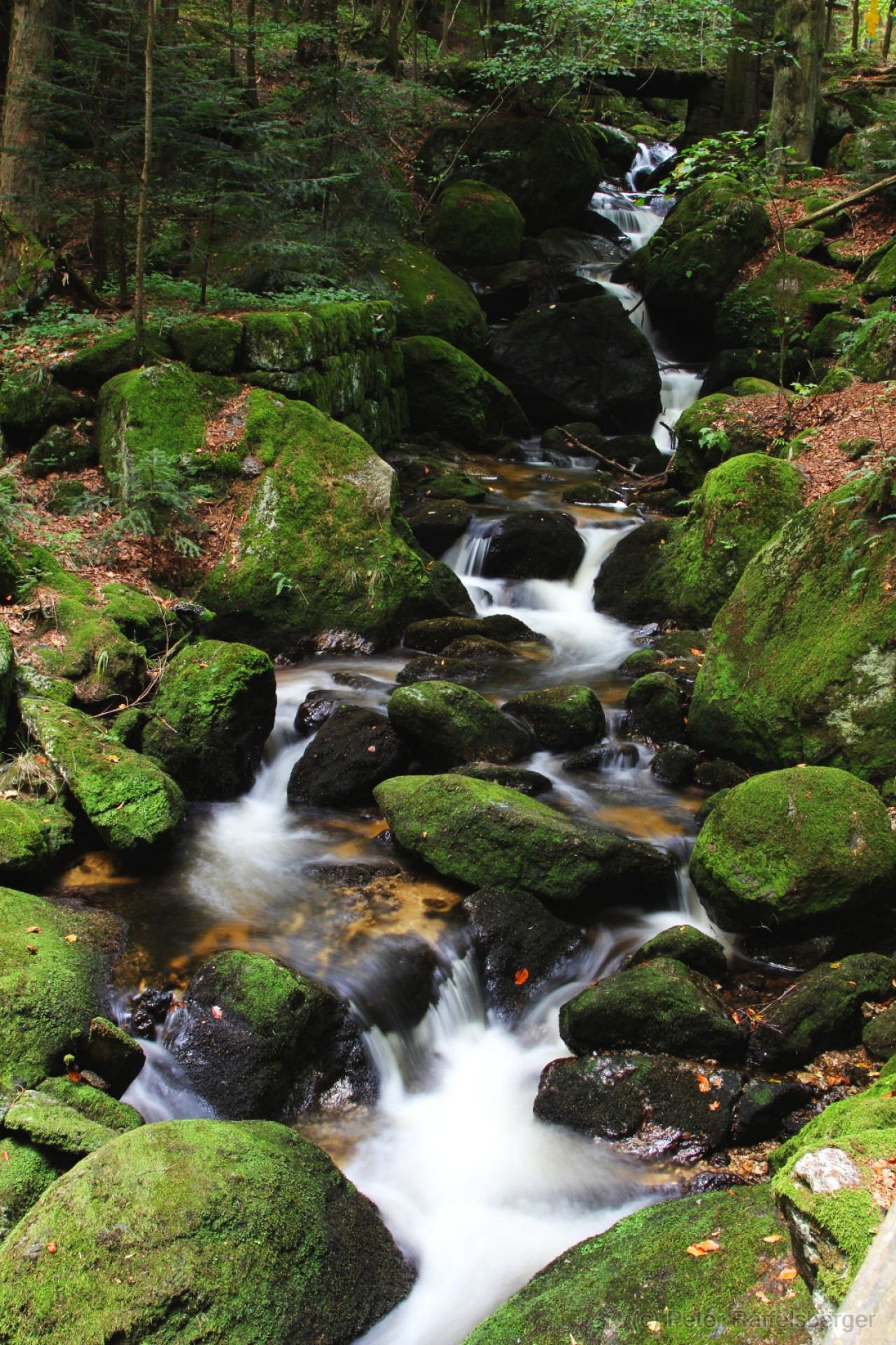Ysperklamm