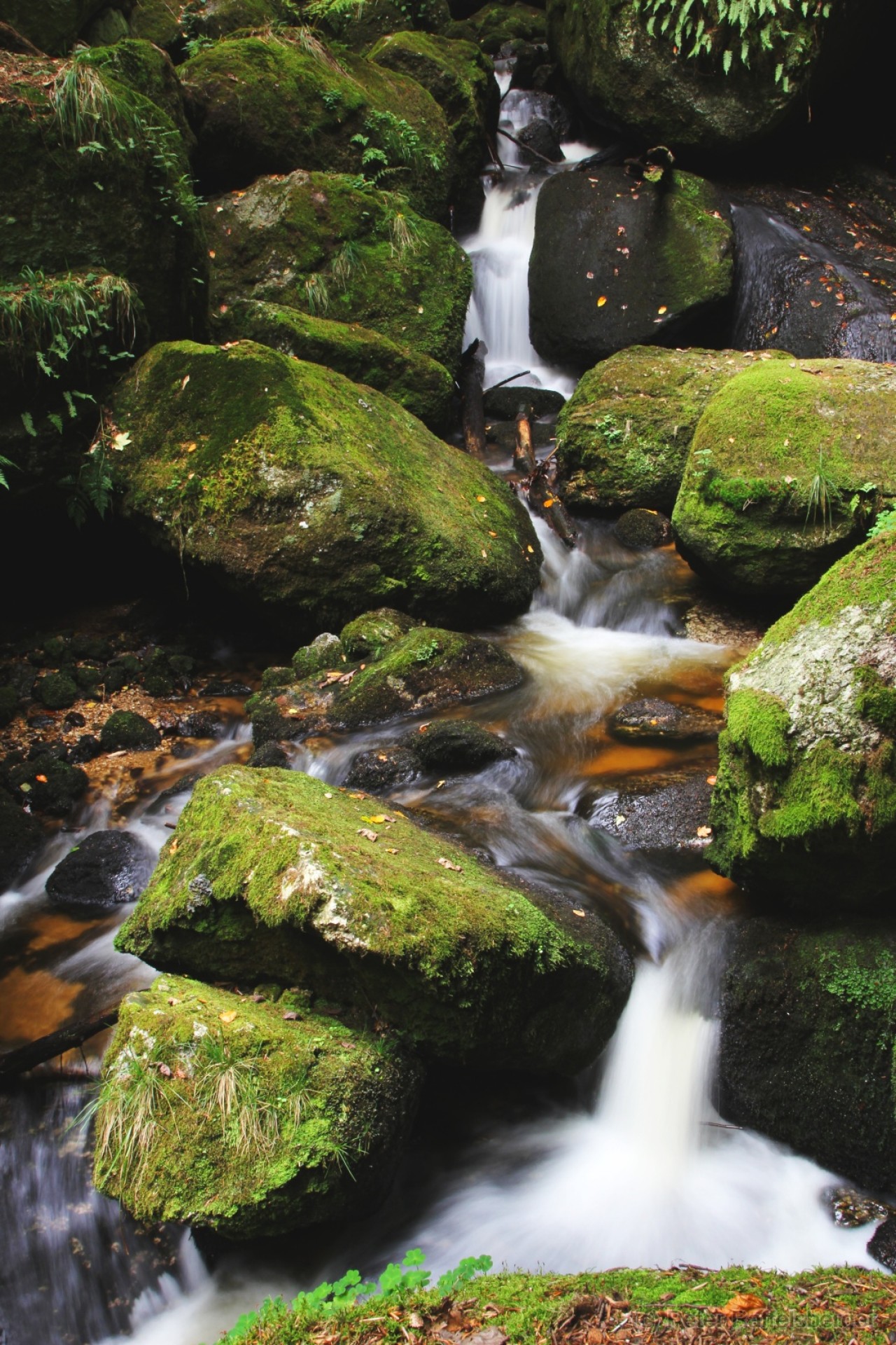 Ysperklamm