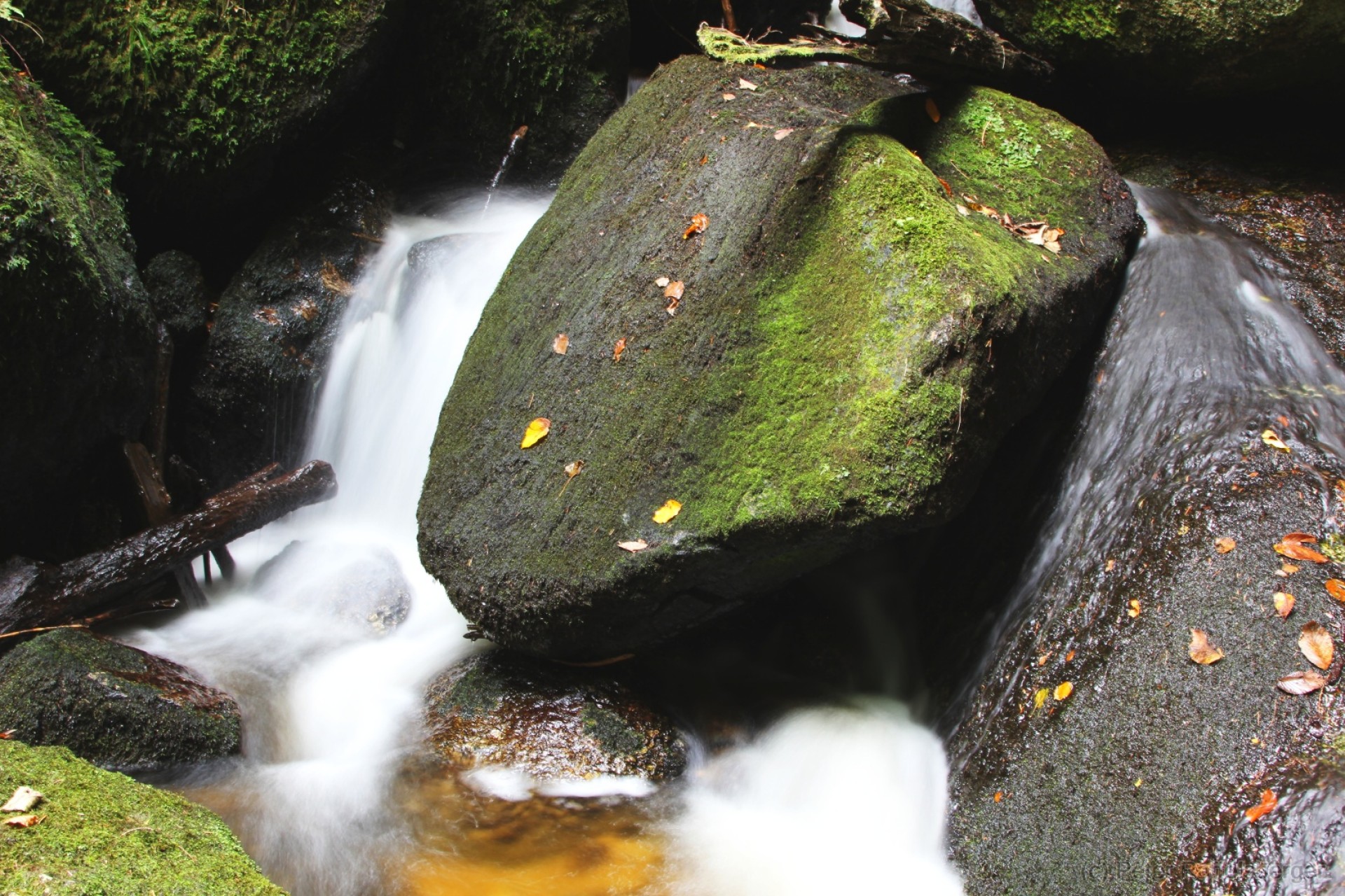 Ysperklamm