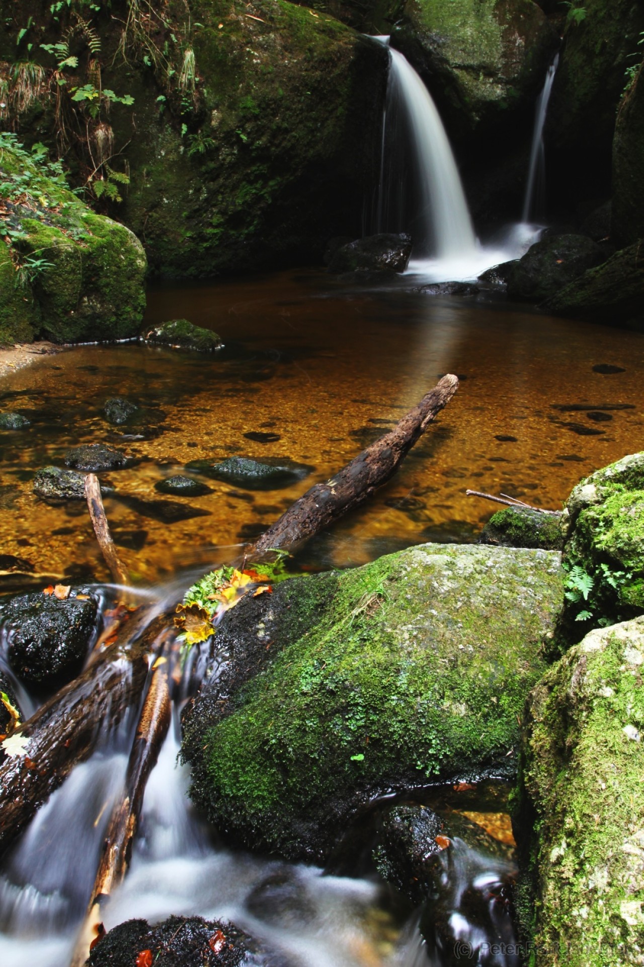 Ysperklamm