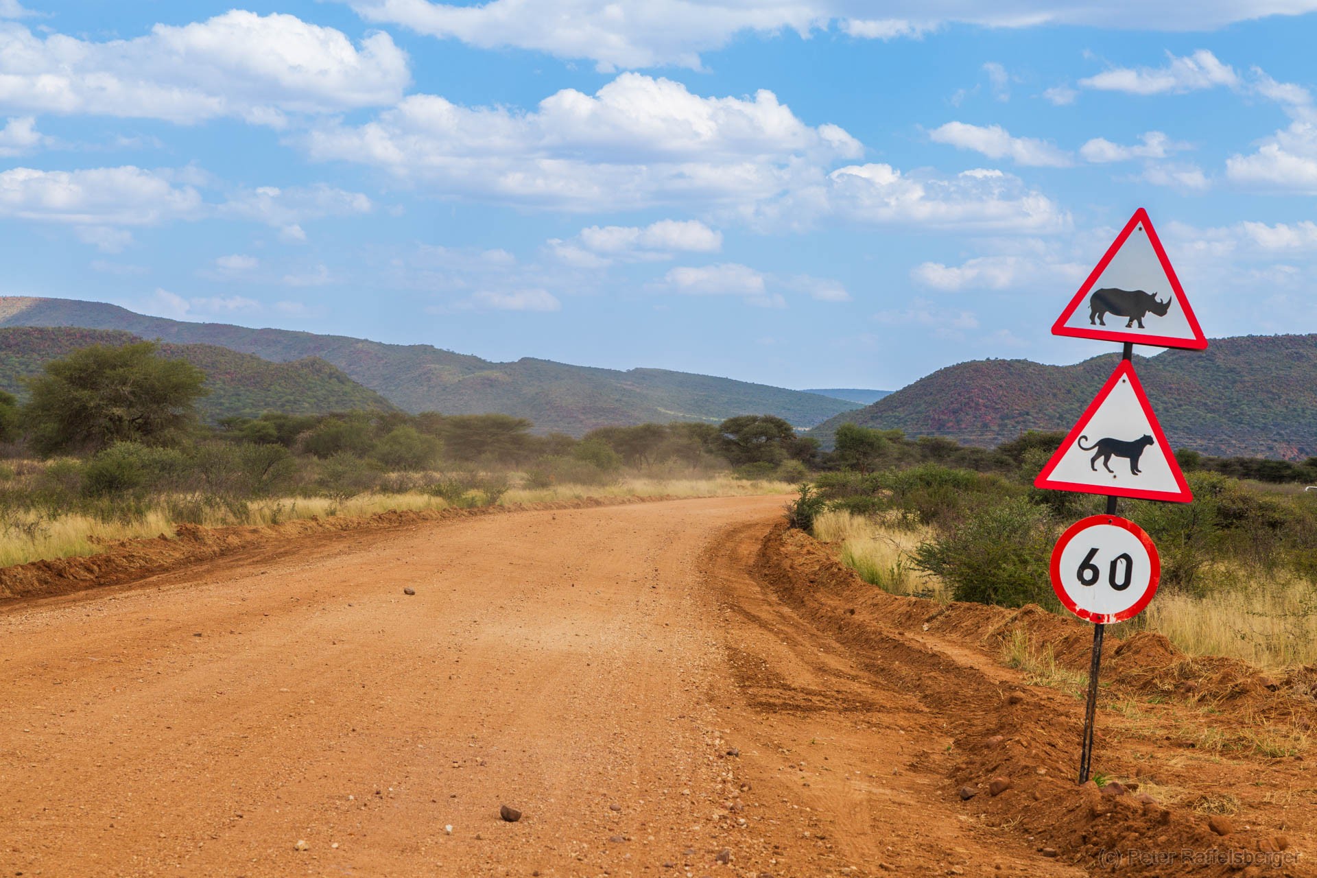 Windhoek, Okonjima, Etosha Nationalpark