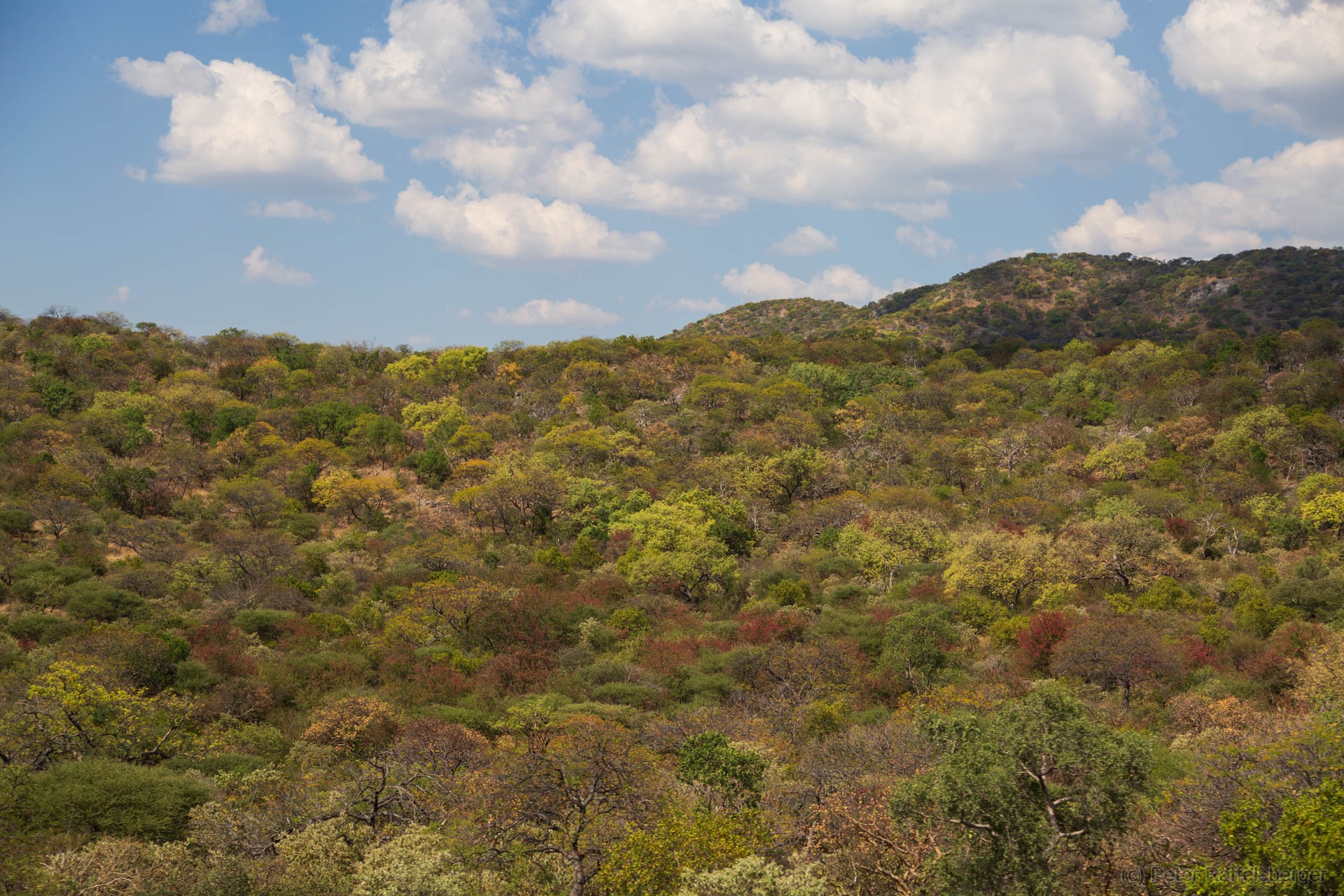 Windhoek, Okonjima, Etosha Nationalpark