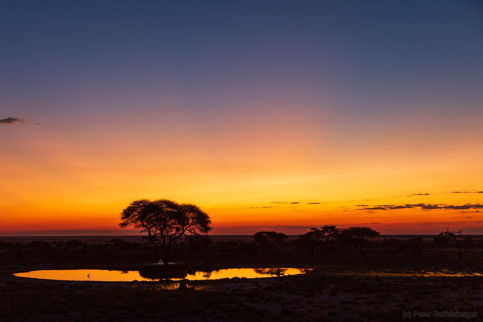 Windhoek, Okonjima, Etosha Nationalpark