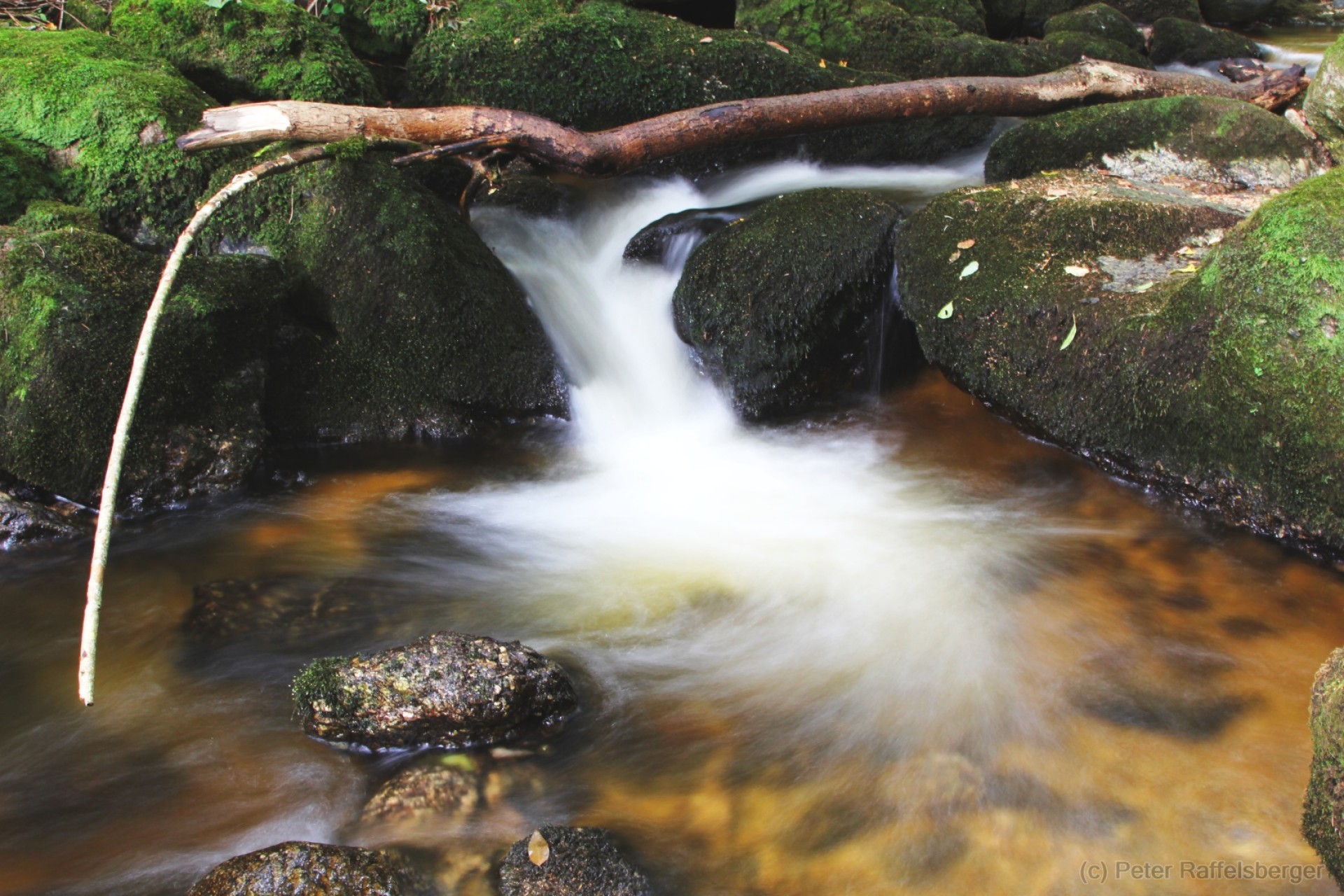 Ysperklamm