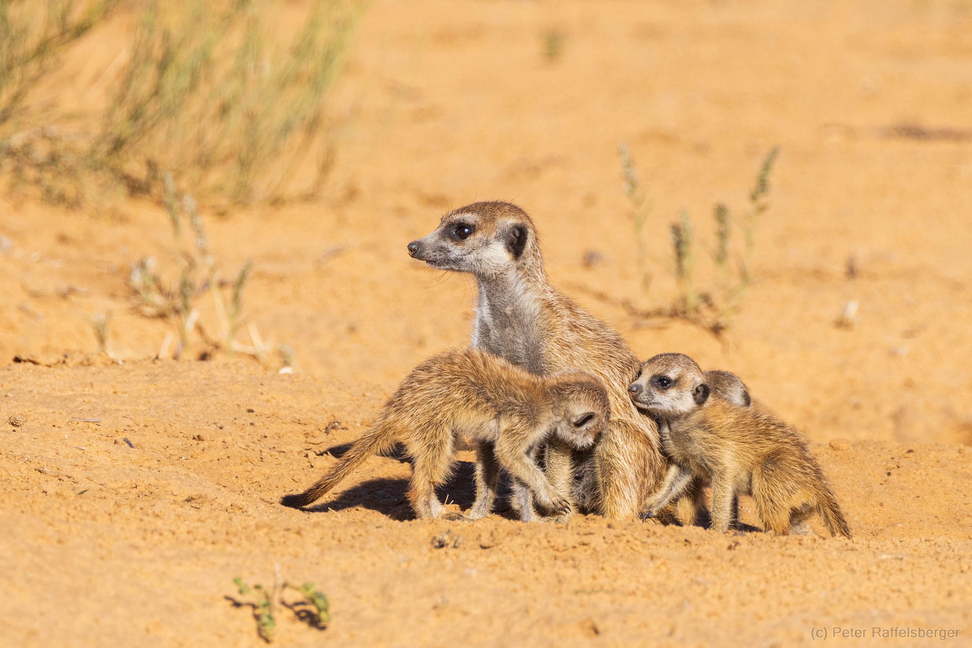 Sesriem, Sossusvlei, Namib-Naukluft-Nationalpark, Kalahari