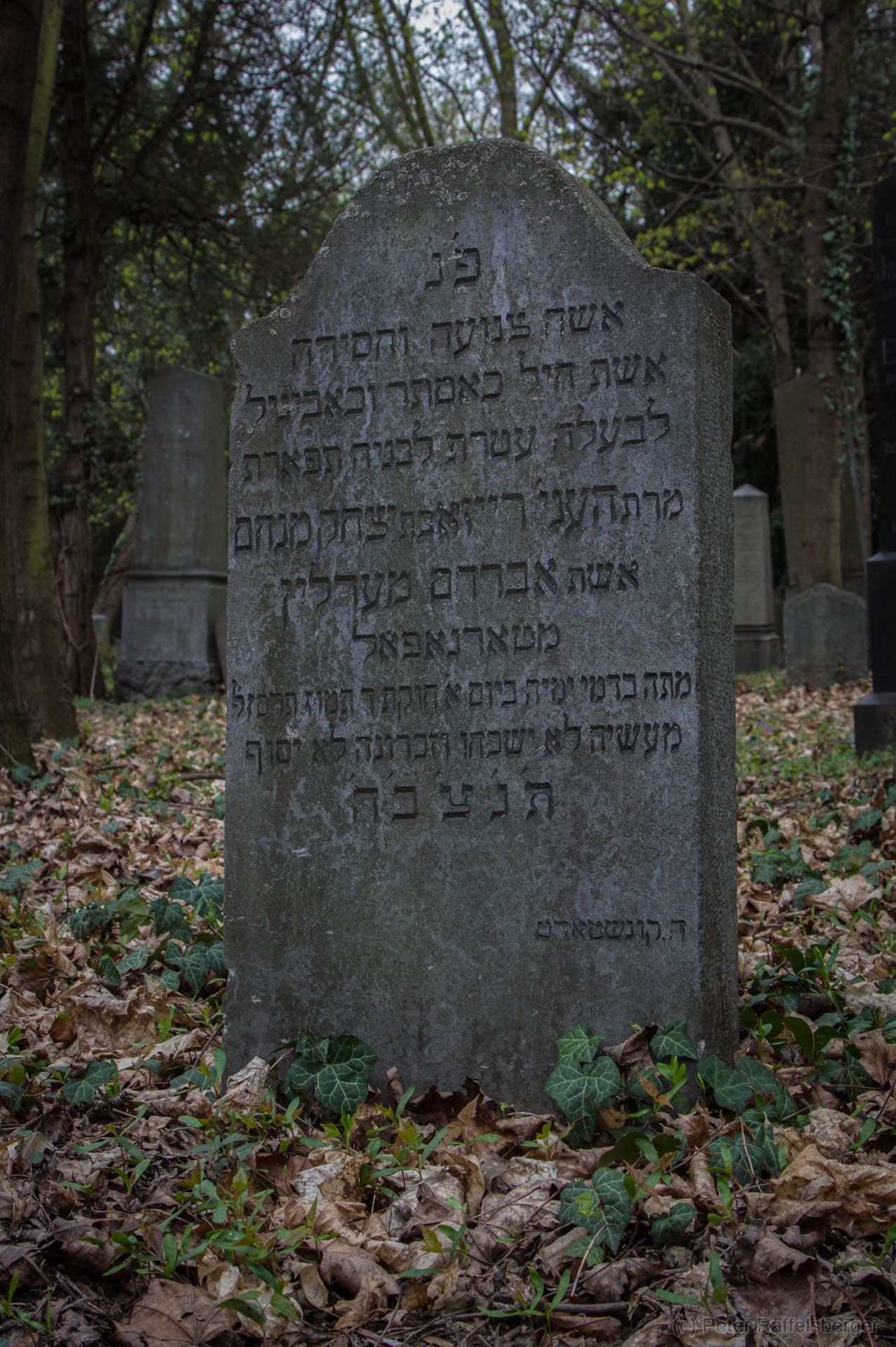 Vienna Central Graveyard Spring