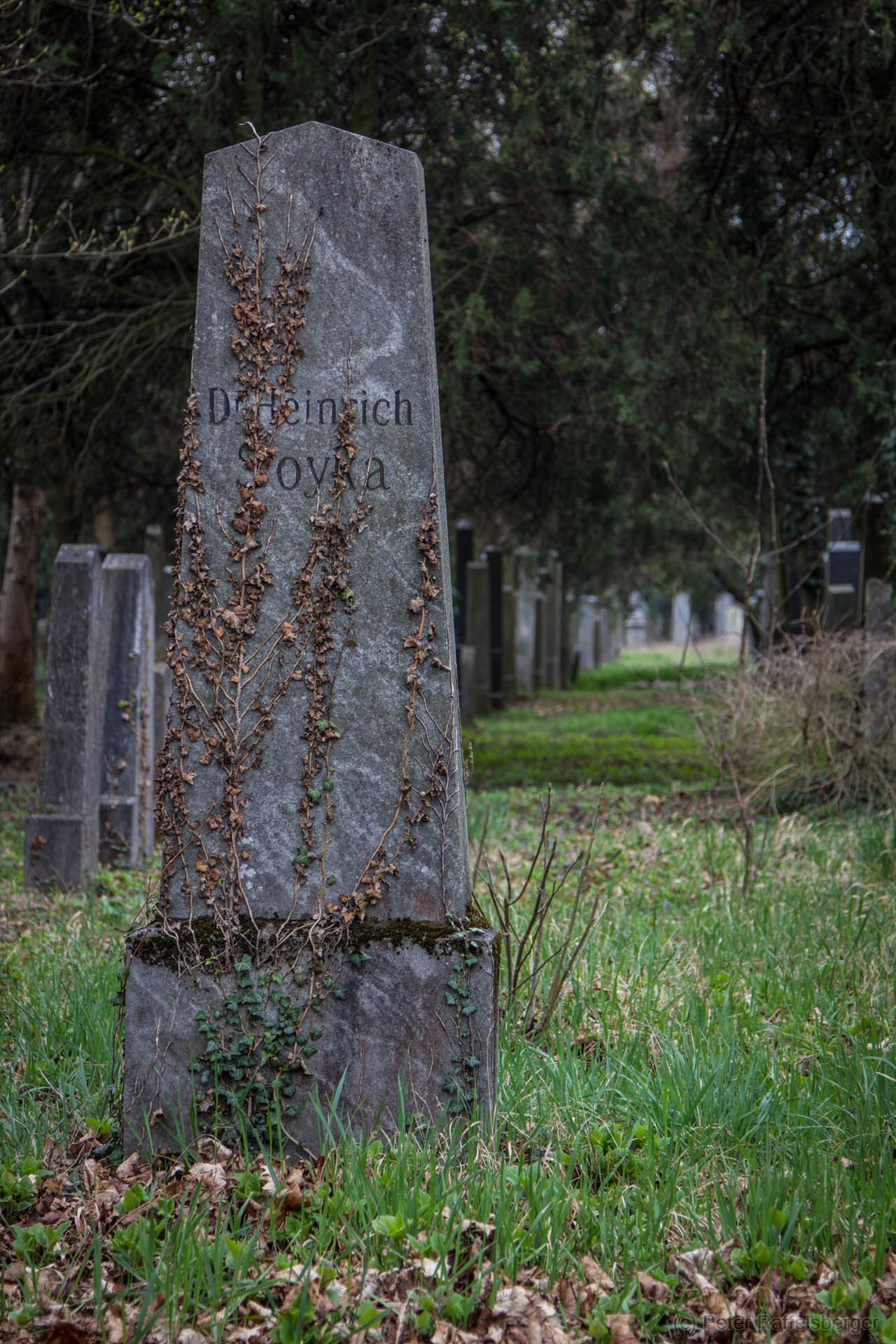 Vienna Central Graveyard Spring