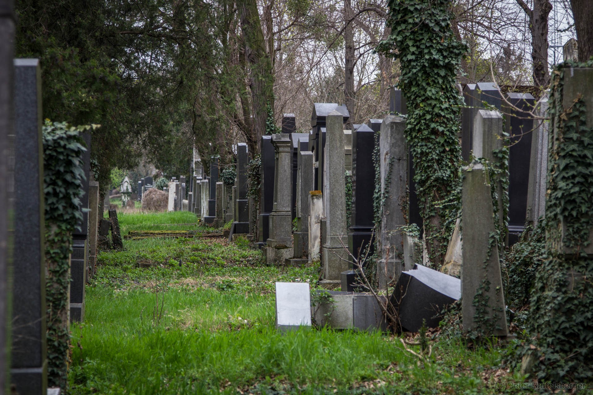 Vienna Central Graveyard Spring