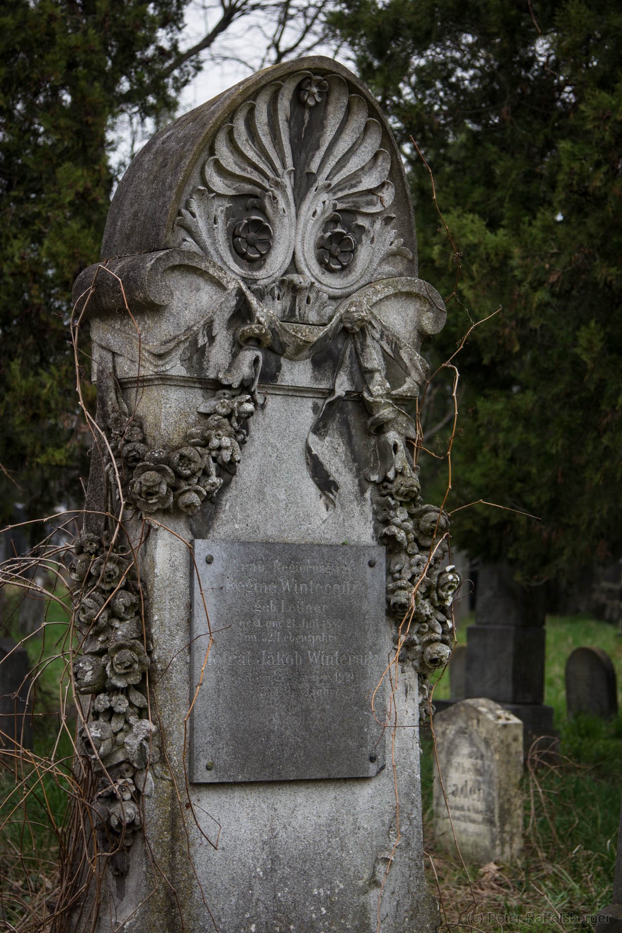 Vienna Central Graveyard Spring
