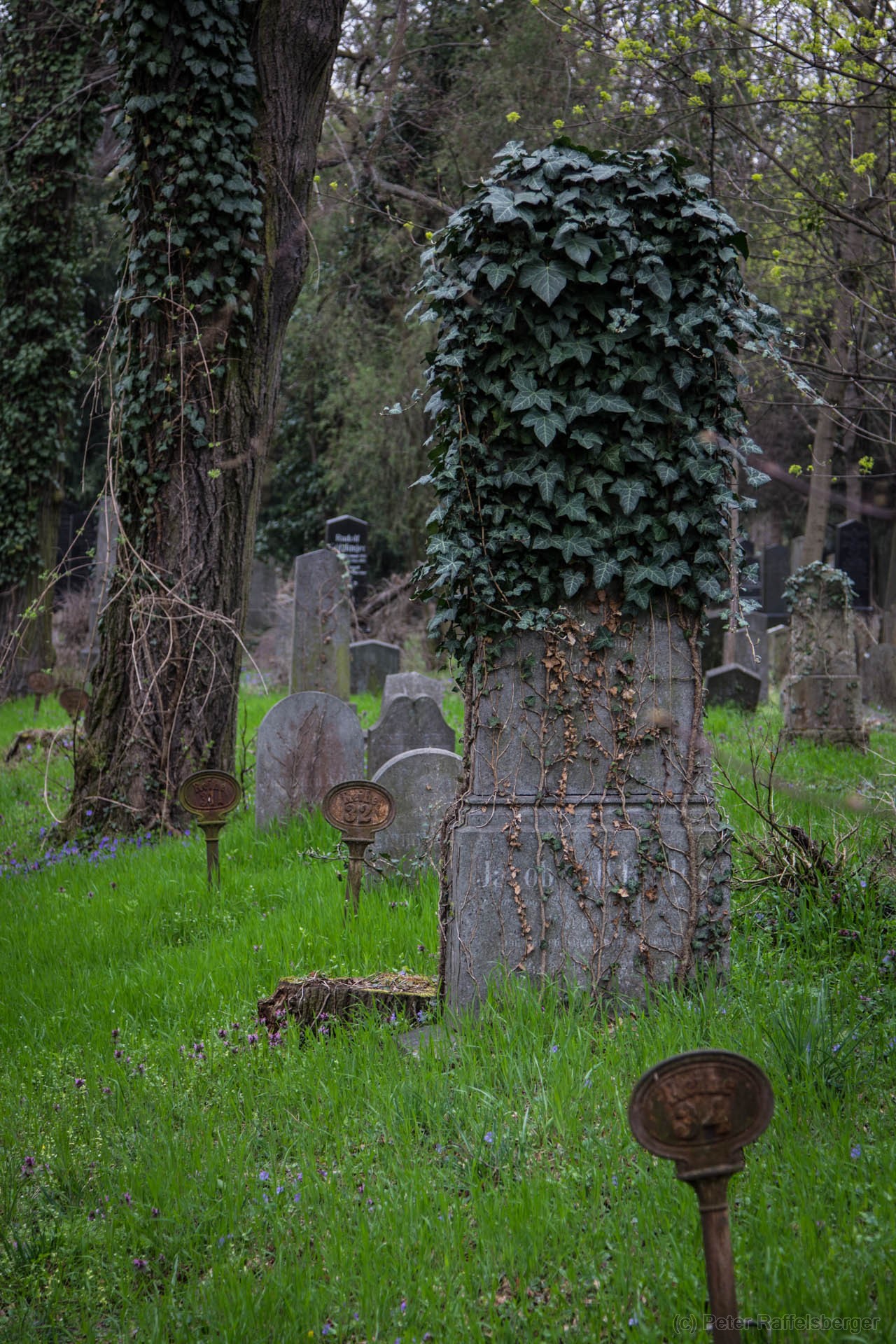 Vienna Central Graveyard Spring