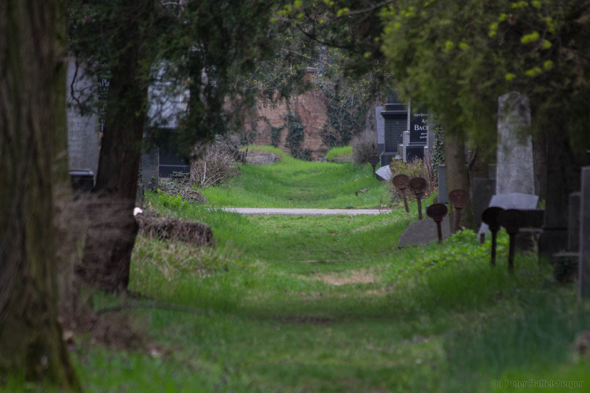 Vienna Central Graveyard Spring