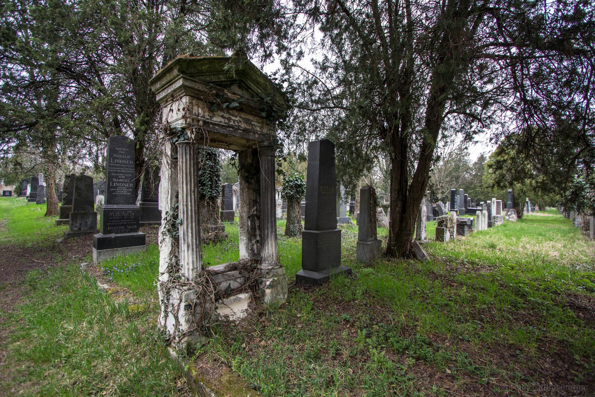 Vienna Central Graveyard Spring