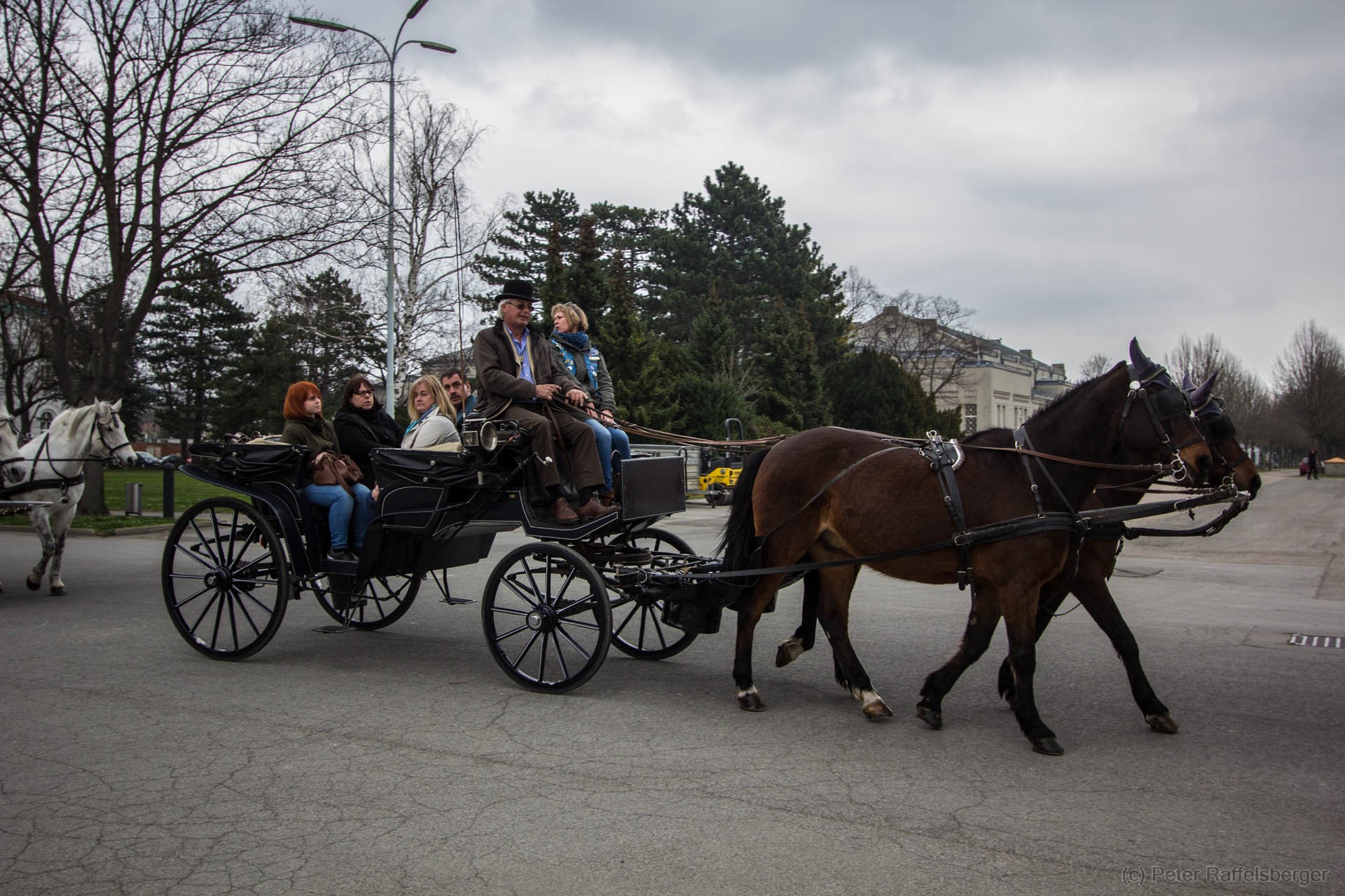 Vienna Central Graveyard Spring