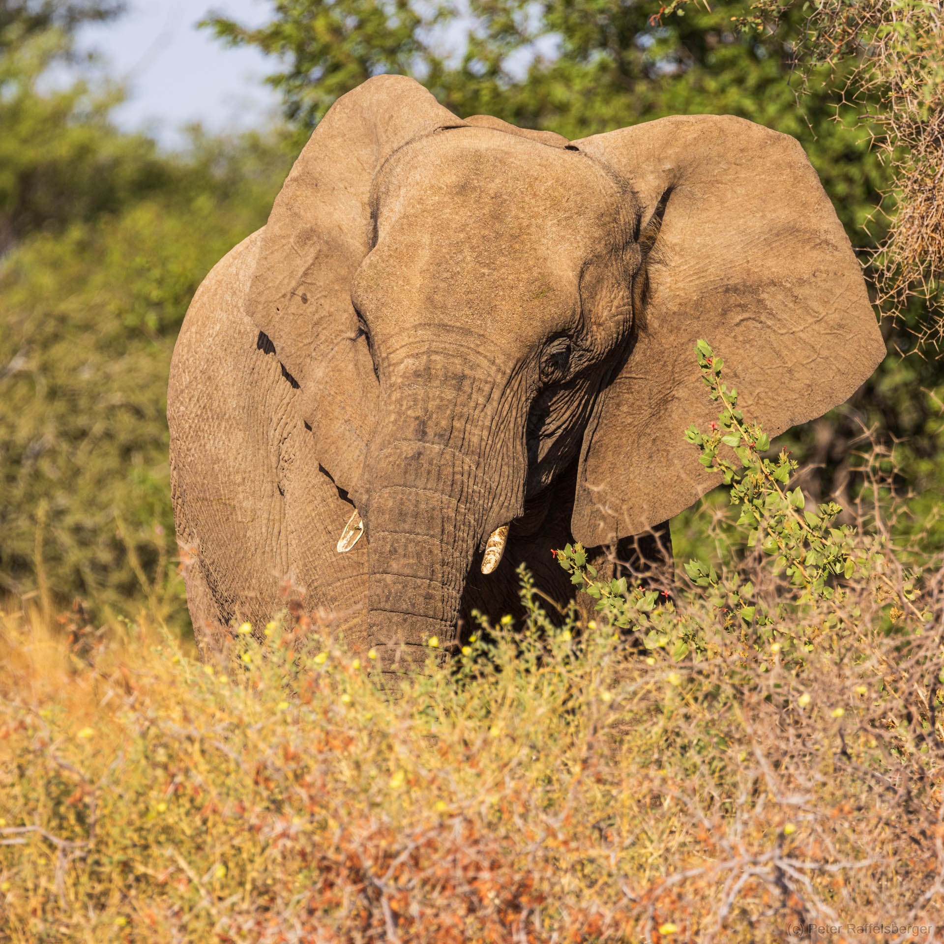 Damaraland, Swakopmund, Walfischbucht
