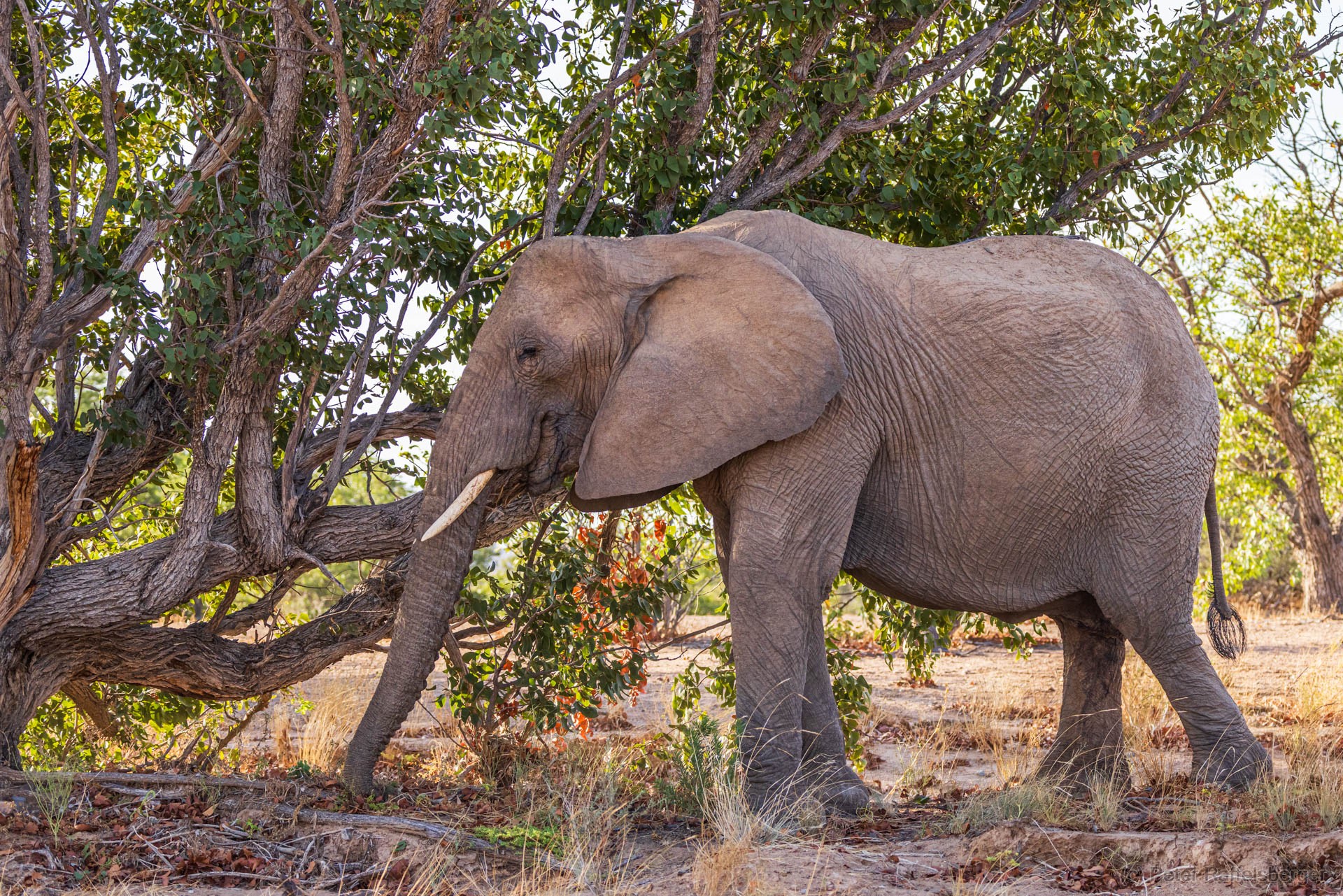 Damaraland, Swakopmund, Walvis Bay