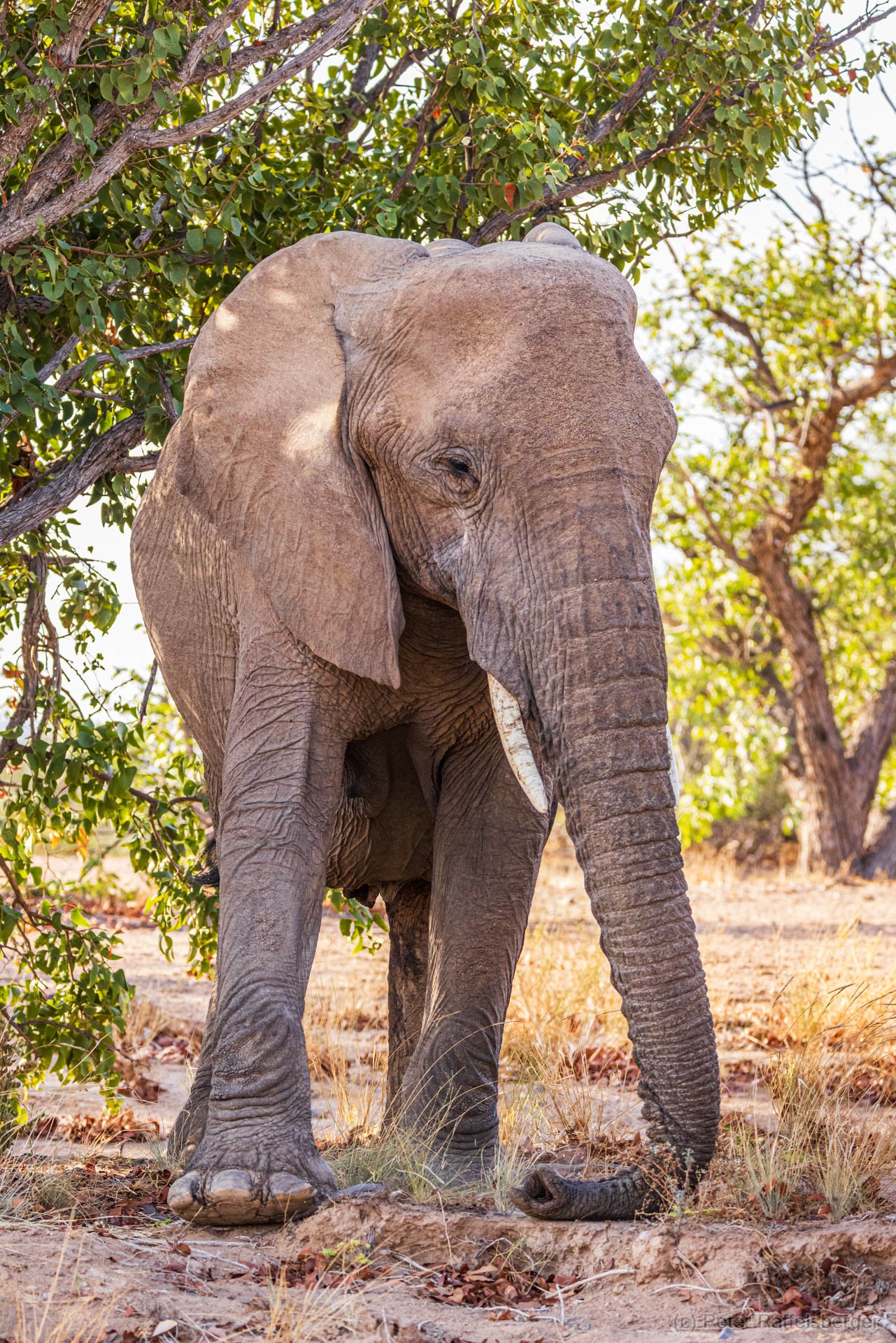 Damaraland, Swakopmund, Walvis Bay