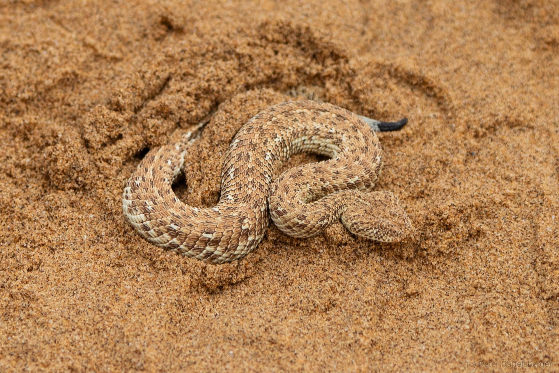 Damaraland, Swakopmund, Walvis Bay
