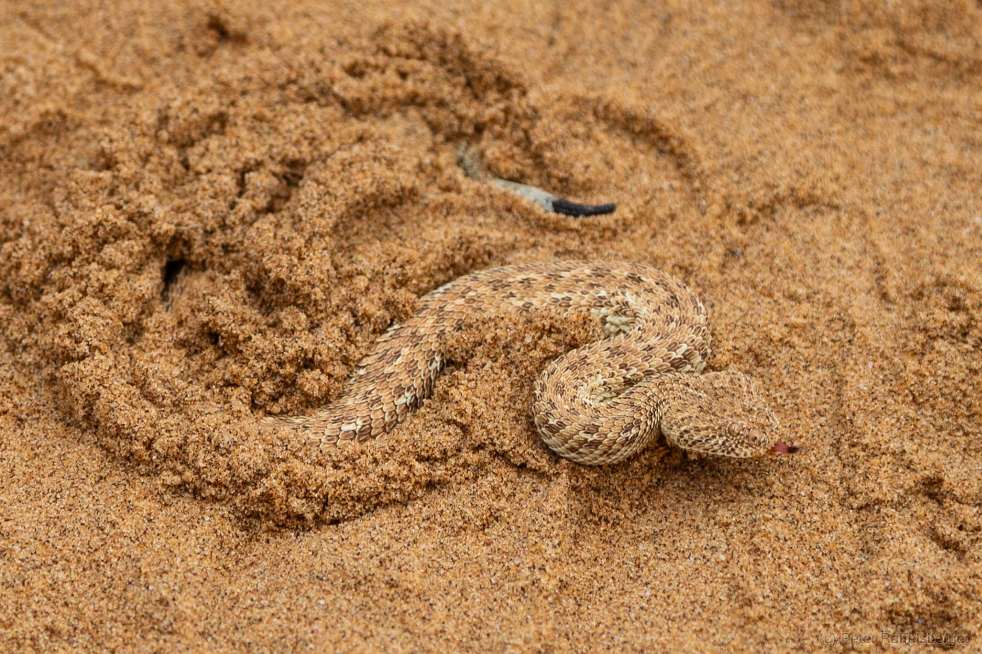 Damaraland, Swakopmund, Walvis Bay