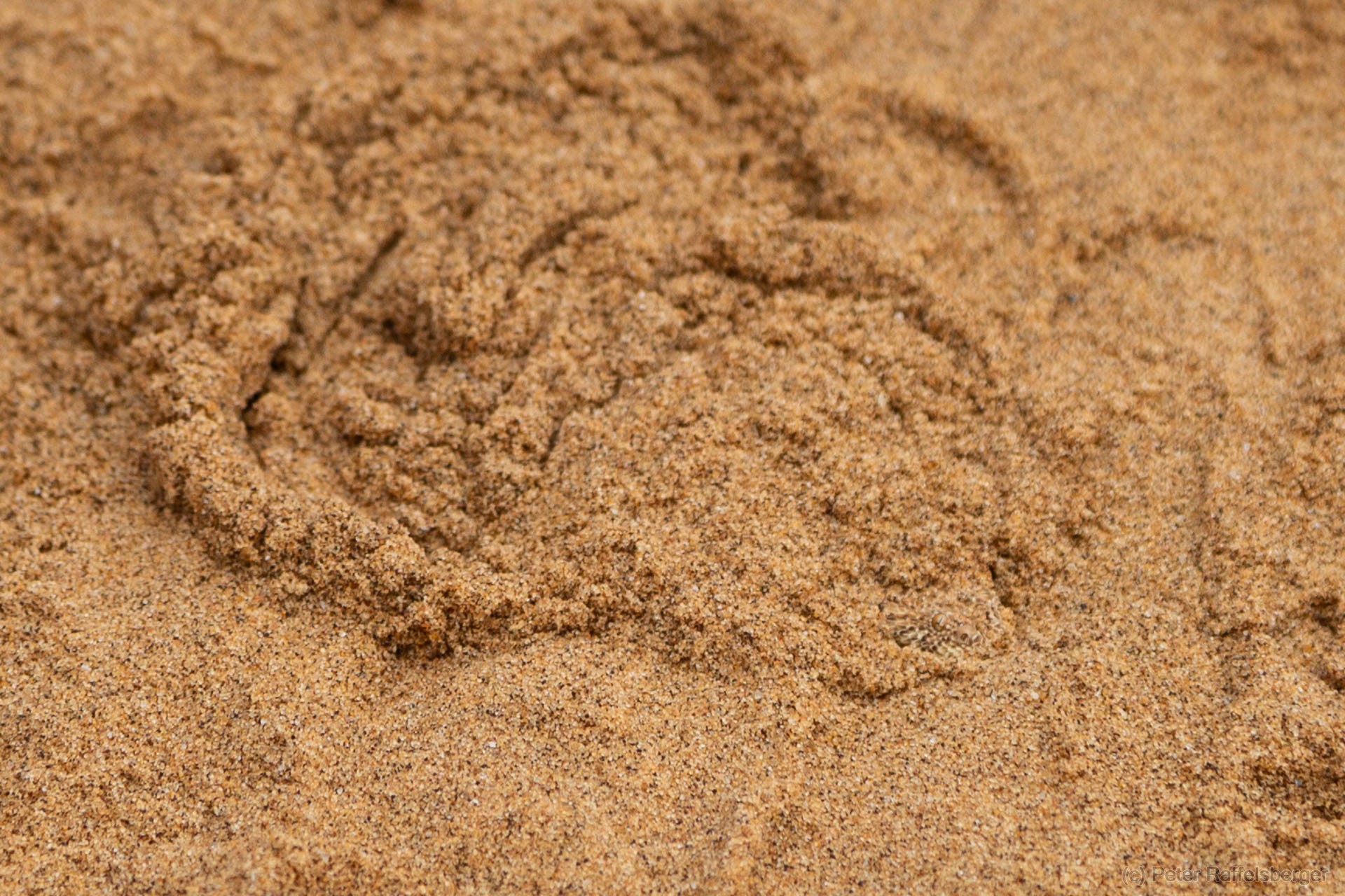 Damaraland, Swakopmund, Walvis Bay