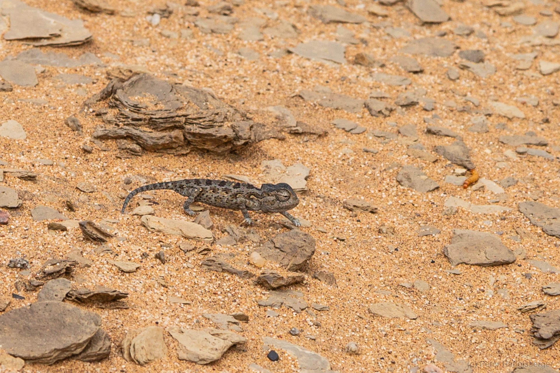 Damaraland, Swakopmund, Walvis Bay