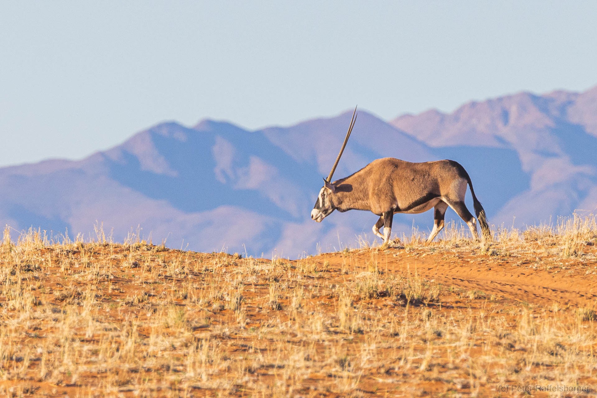 Sesriem, Sossusvlei, Namib-Naukluft-Nationalpark, Kalahari