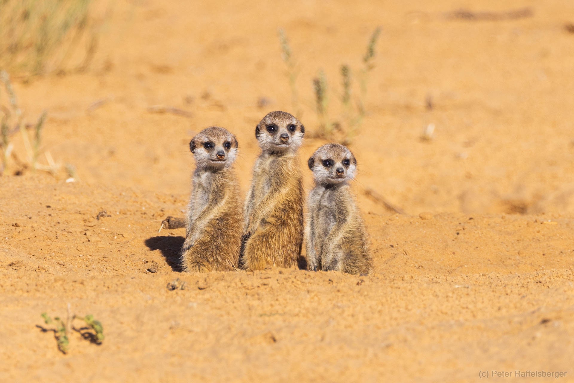 Sesriem, Sossusvlei, Namib-Naukluft-Nationalpark, Kalahari